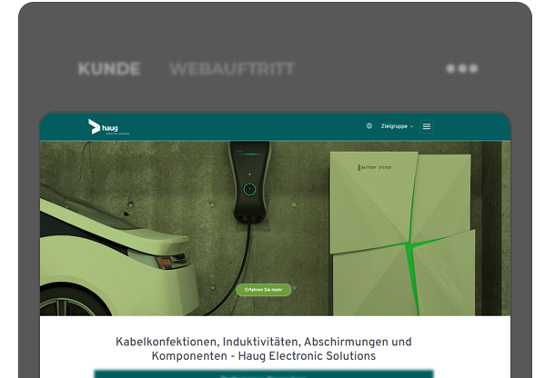 Thumbnail der Webseite: Haug Electronic Solutions